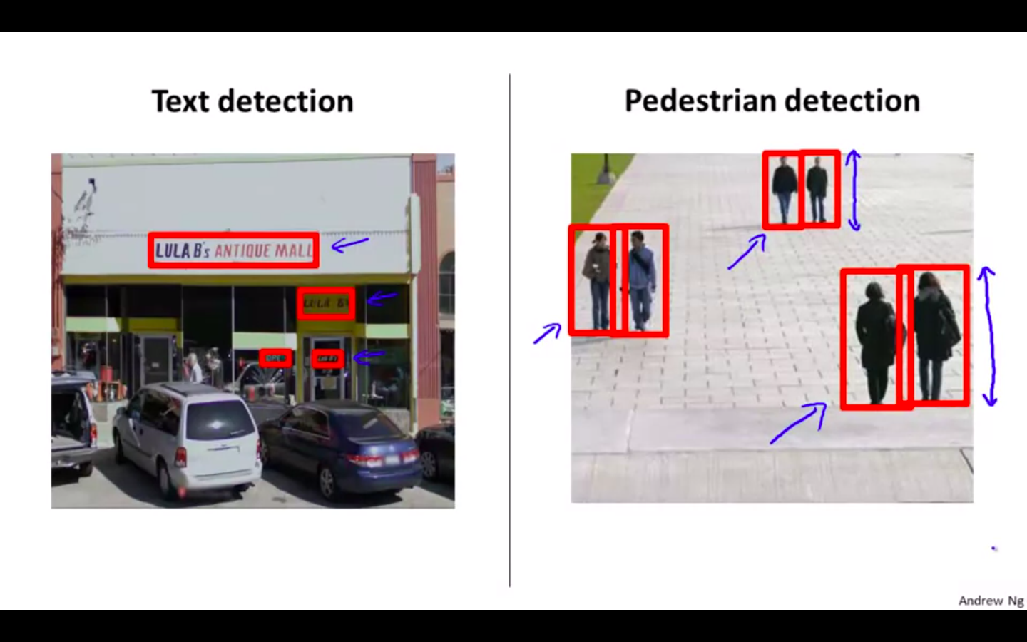 Text and Pedestrian Detection.png