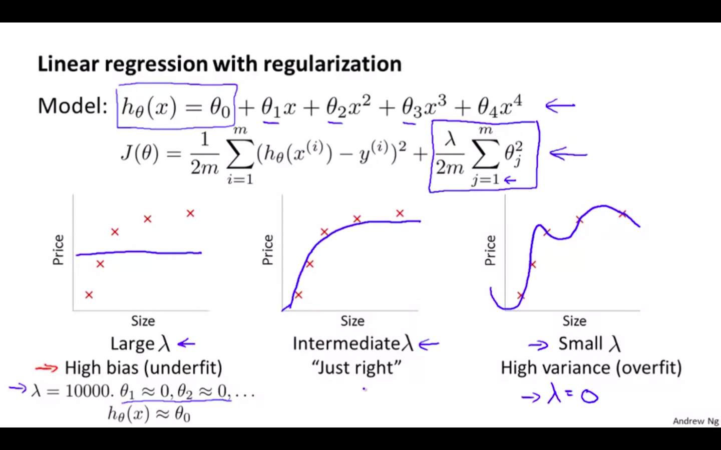 LR Regularisation.png